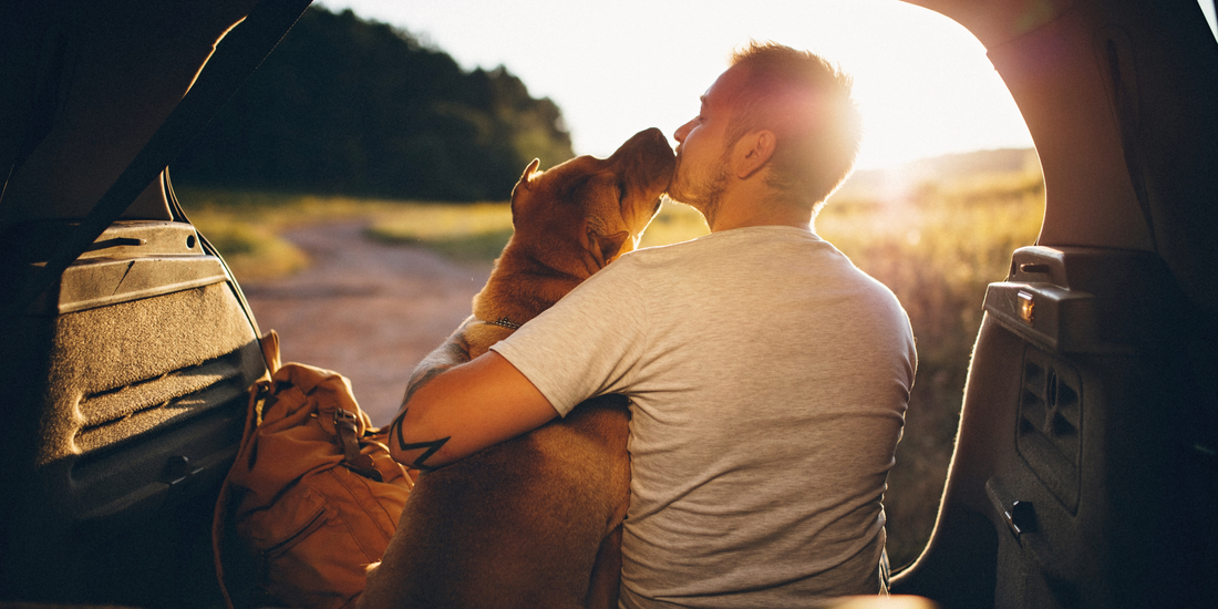 dog dad and shar pei dog sitting in car outside at sunset