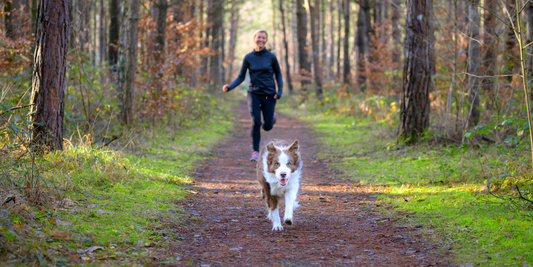 smiling woman jogging in forest with border collie dog on trail