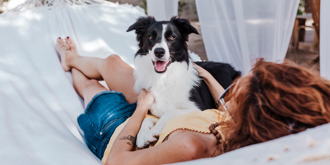 women lying down relaxing in hammock with border collie dog