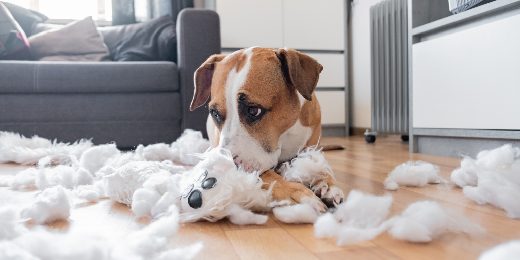 mutt mixed breed dog destroy toy plush toys stuffing