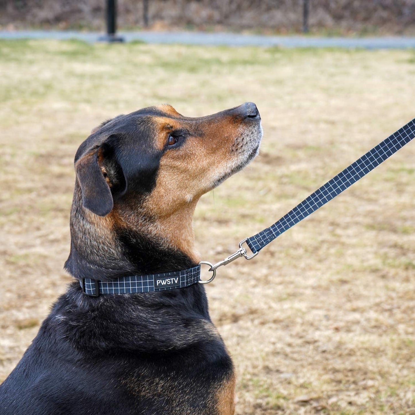 Black Grid Dog Leash