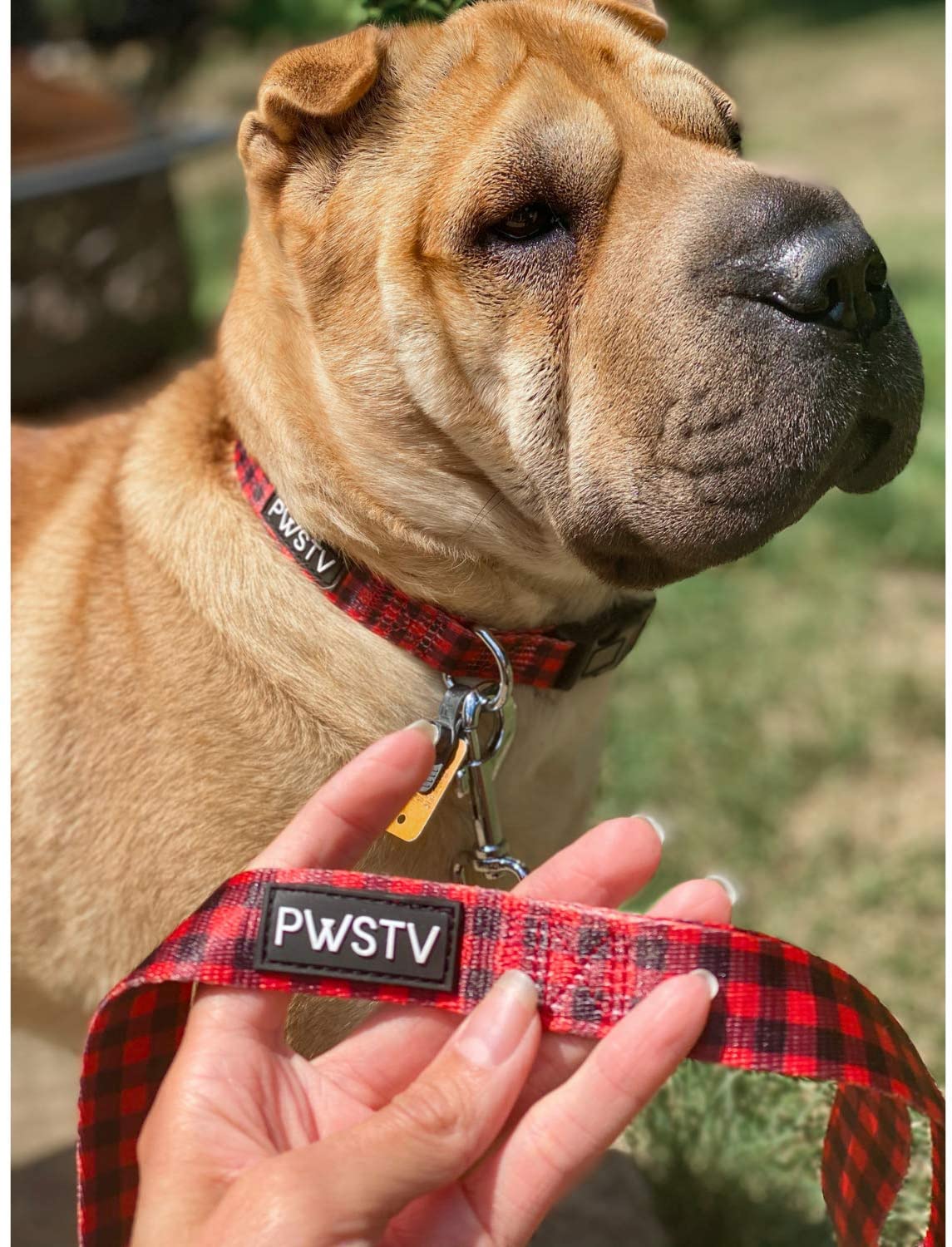 Buffalo Plaid Dog Leash
