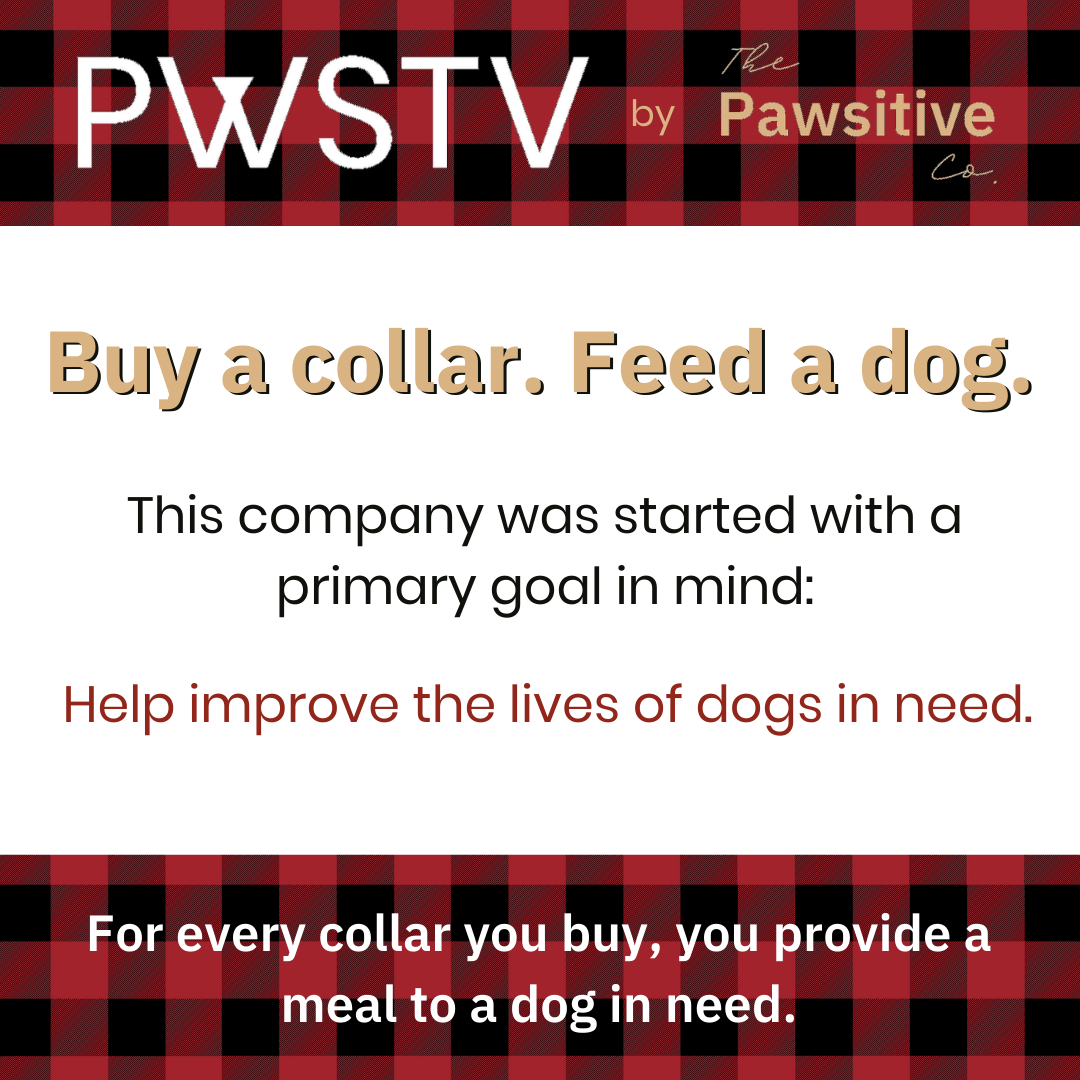 London Plaid Dog Collar