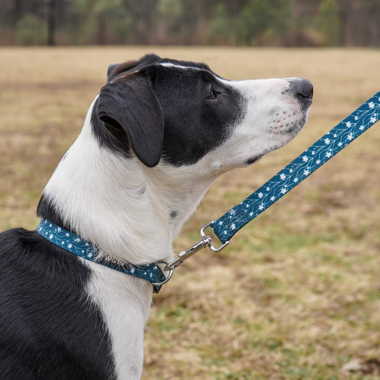 Emerald Green Flower Dog Leash