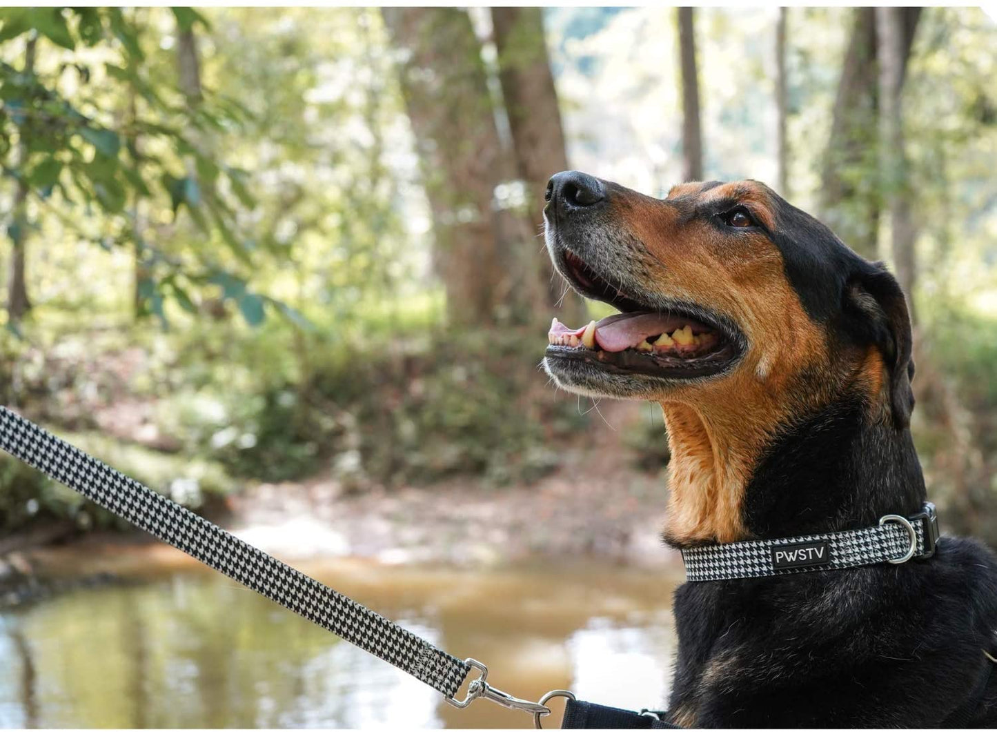 Houndstooth Dog Leash