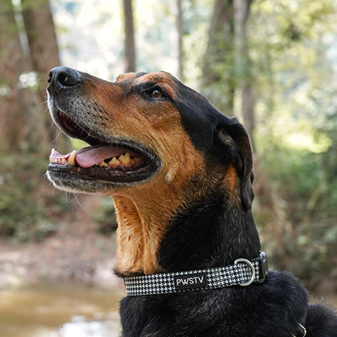 Houndstooth Dog Collar