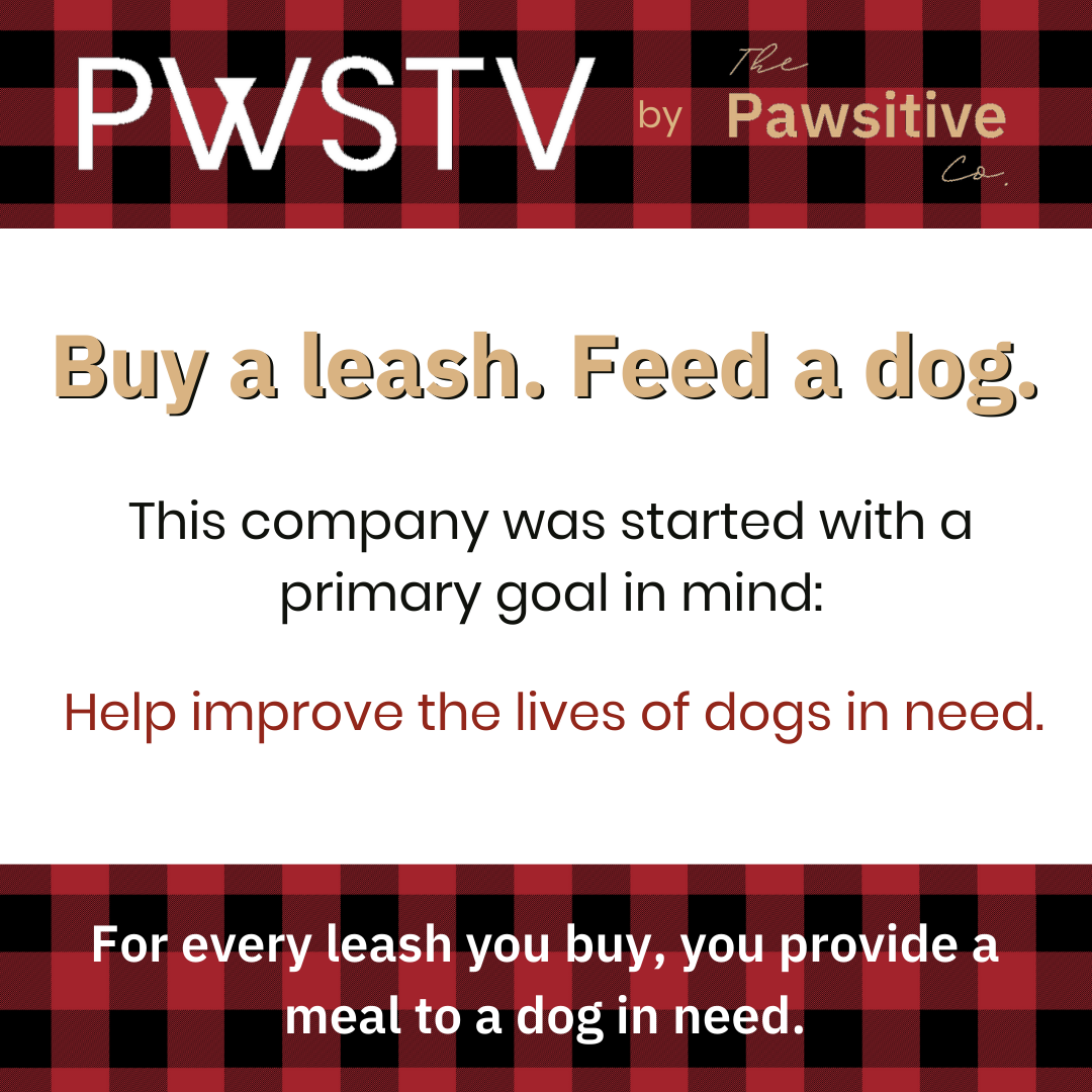 Buffalo Plaid Dog Leash