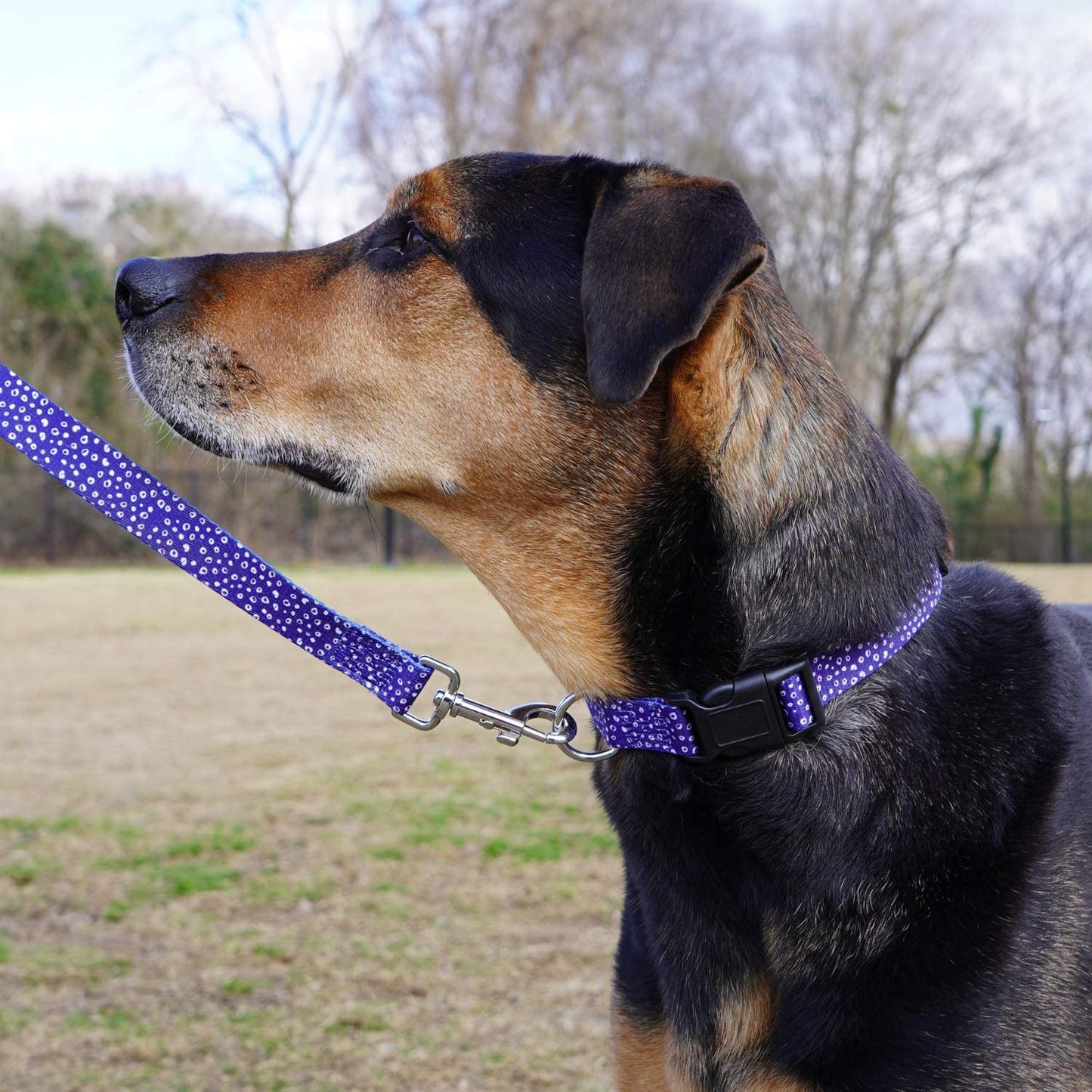 Navy Dot Dog Leash