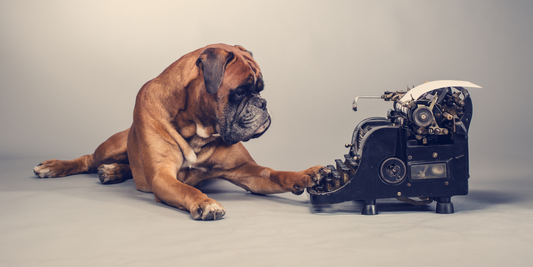 boxer dog working breed group working on typewriter taking notes with eyeglasses glasses frames