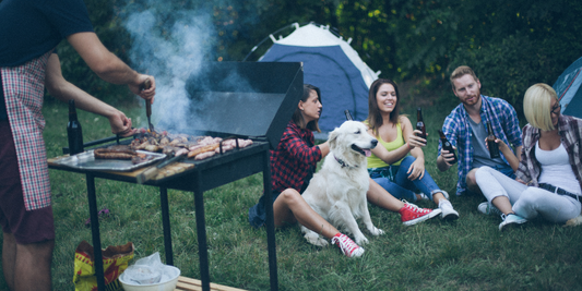 golden retriever dog with humans sitting on grass at barbecue grill cookout camping tents
