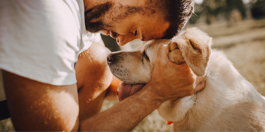 man with older dog senior dog cuddling snuggling nuzzling
