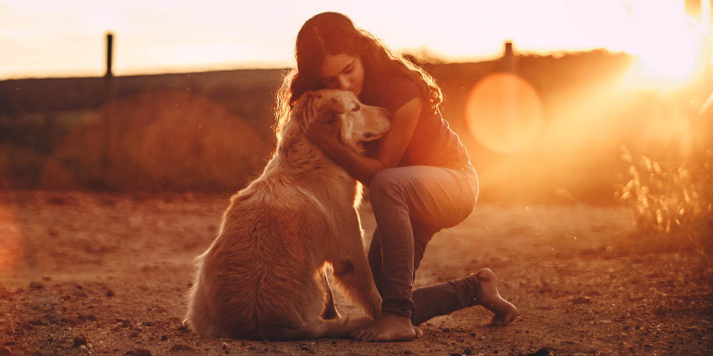 young woman hugging golden retriever outside at sunset
