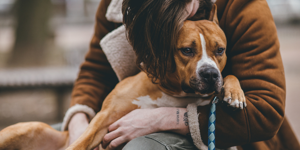 man holding dog hugging hug mutt mixed breed terrier mental health