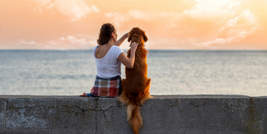 brunette dog mom owner with golden retriever sitting on pier at beach watching sunset