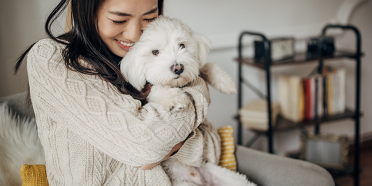 Japanese woman hugging white lap dog do dogs like hugs