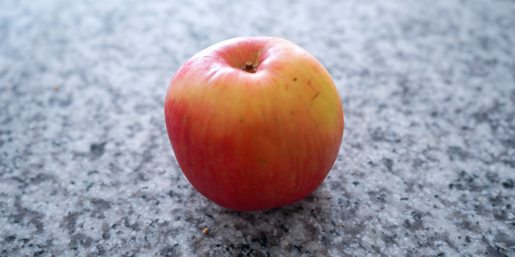 one apple on granite countertop apple dog treat recipe