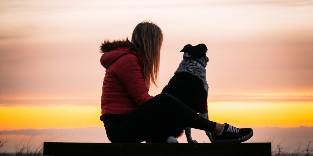 person dog sunset beach improve relationship