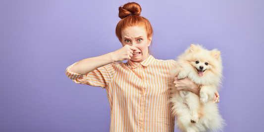 redhead woman holding Pomeranian dog smell smelly bad smell