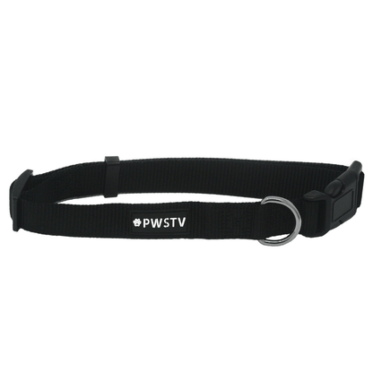 Black Dog Collar Main Image