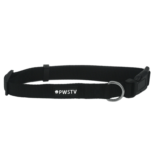 Black Dog Collar Main Image