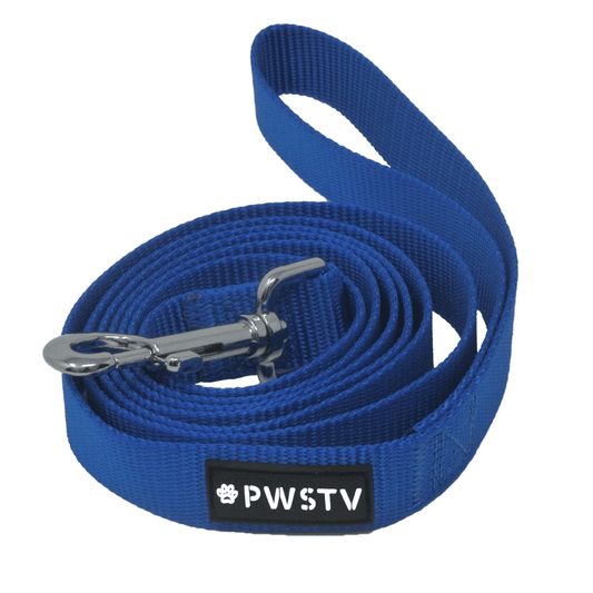 Blue Dog Leash Main Image