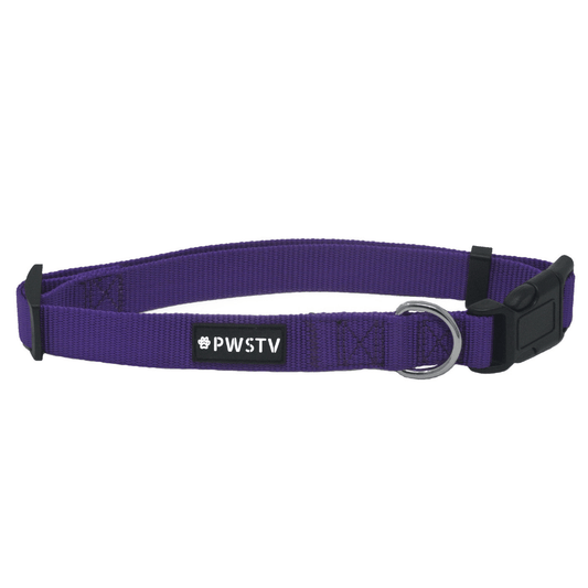 Purple Dog Collar Main Image