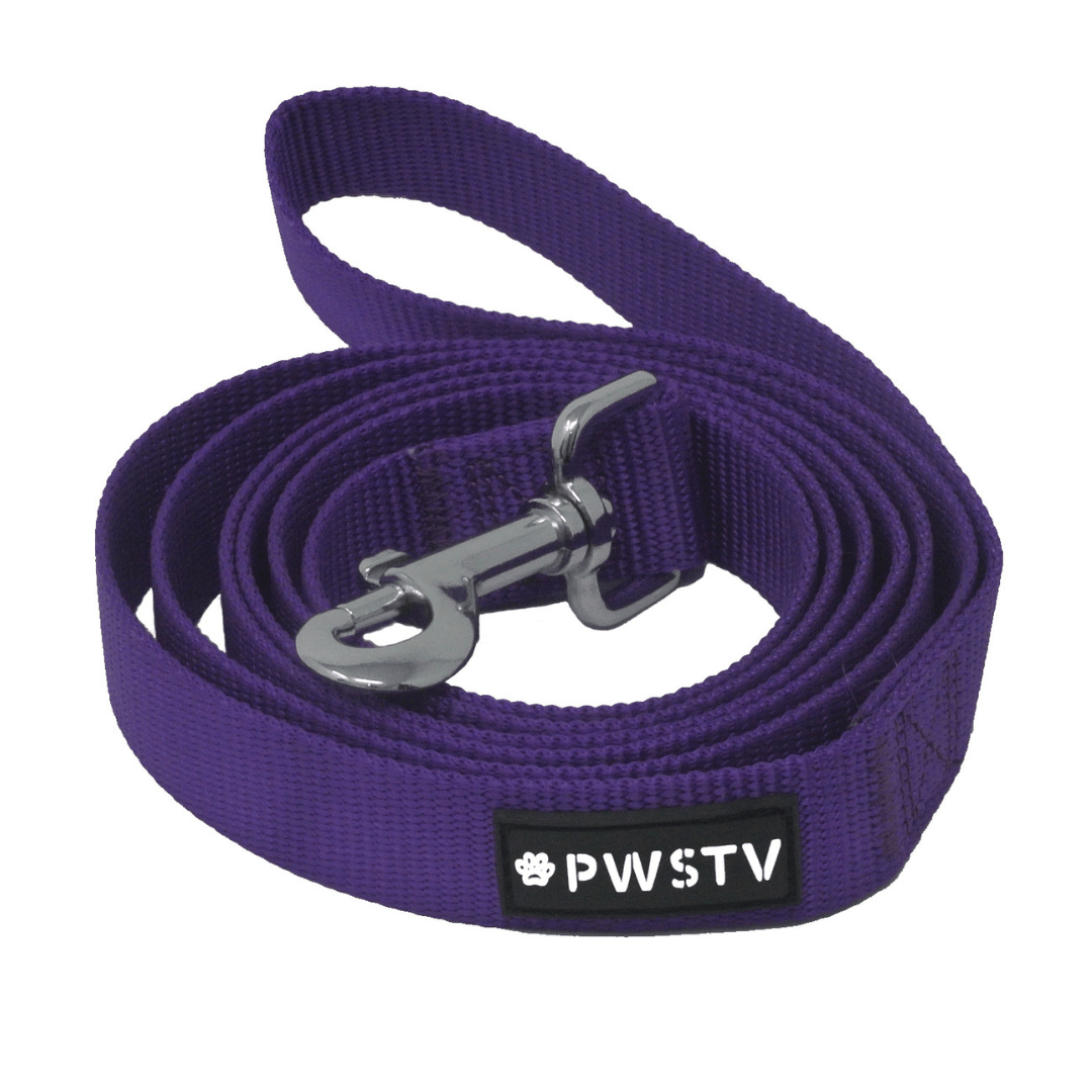 Purple Dog Leash Main Image