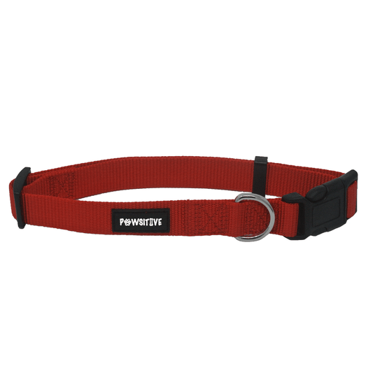 Red Dog Collar Main Image