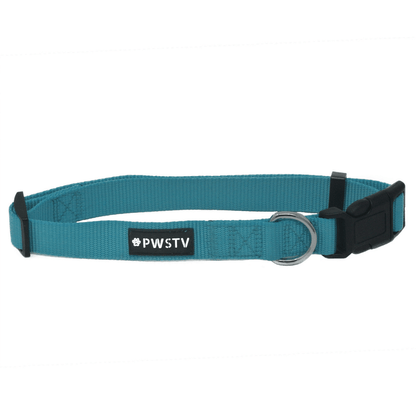 Turquoise Dog Collar Main Image