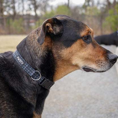 Black Grid Dog Collar