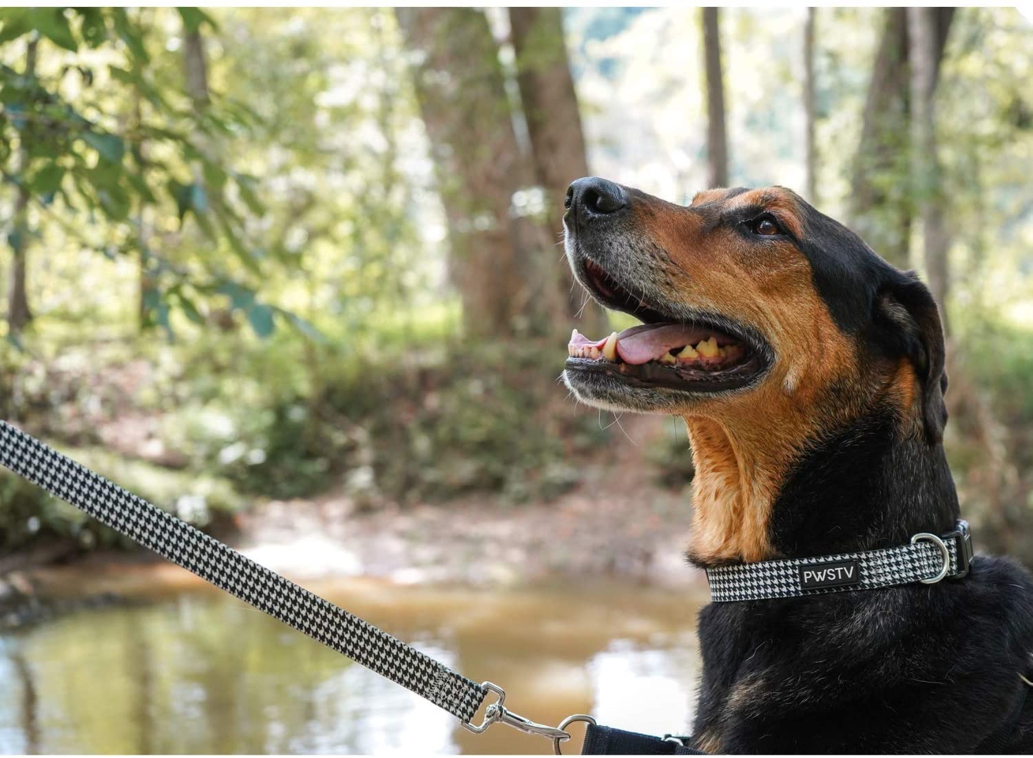 Houndstooth sales dog harness